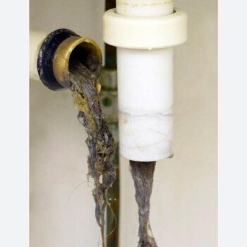plumber service